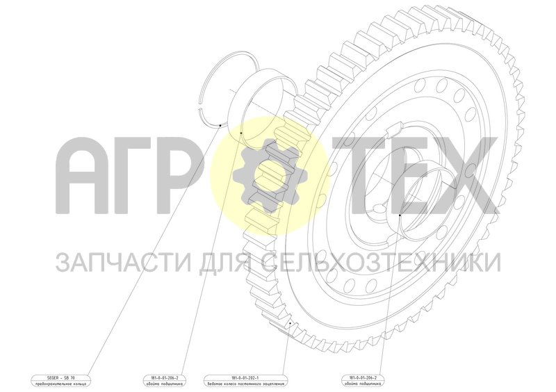 Чертеж Колесо ведомое постоянного зацепления (181-9-01-202-1)